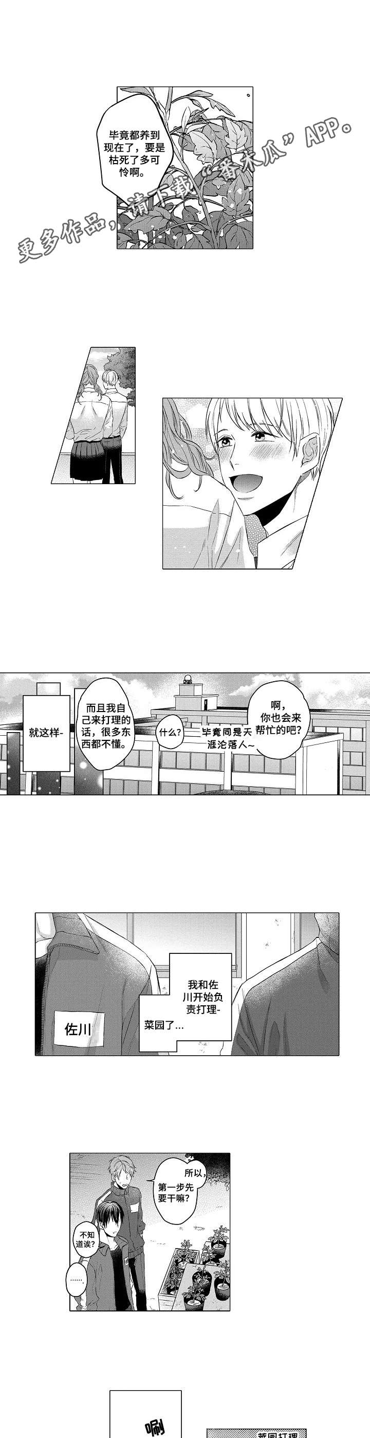 交错的场景小说全集免费版漫画,第2章：菜园2图