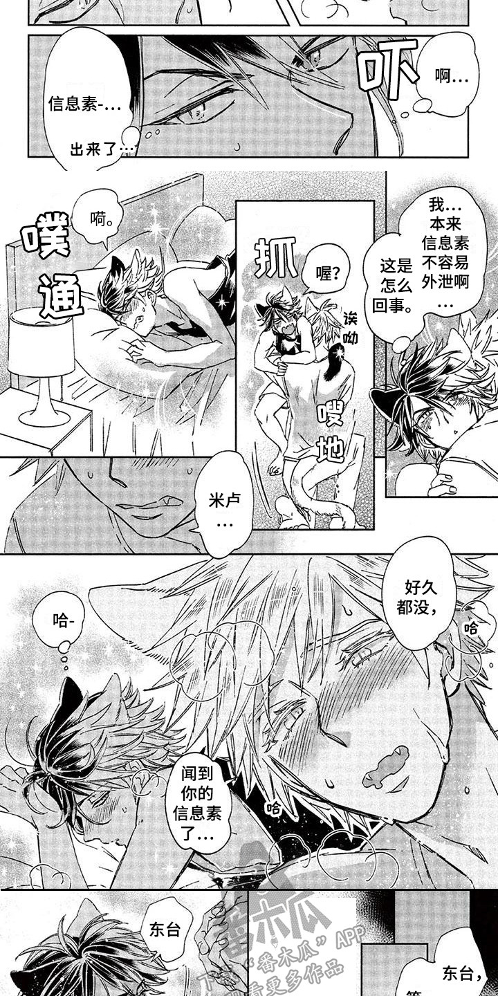 兽人国度吴希涵最新章节更新内容漫画,第26章：故事八：好闻的气味1图