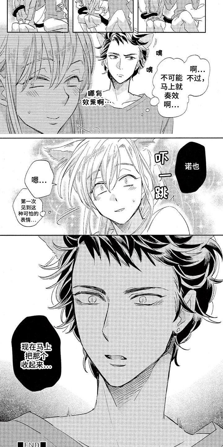 兽人国度漫画,第18章：故事六：执着1图