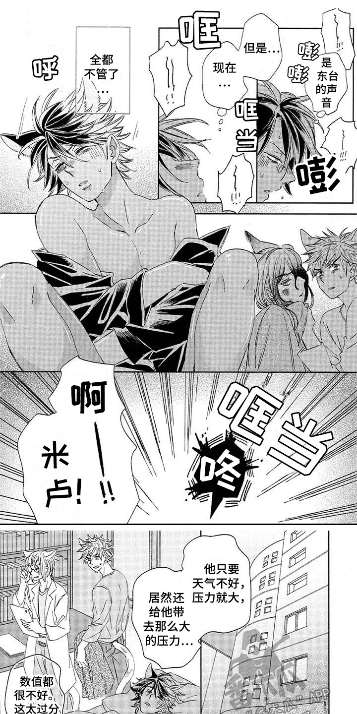 兽人国度吴希涵最新章节更新内容漫画,第29章：故事八：渐渐习惯1图