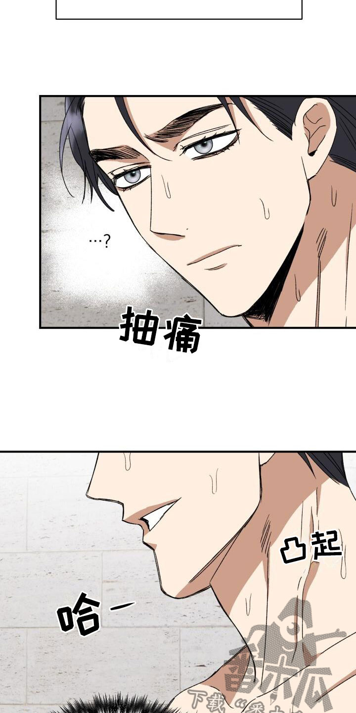 绝对优势和相对优势分别是什么意思漫画,第13章：突变种2图