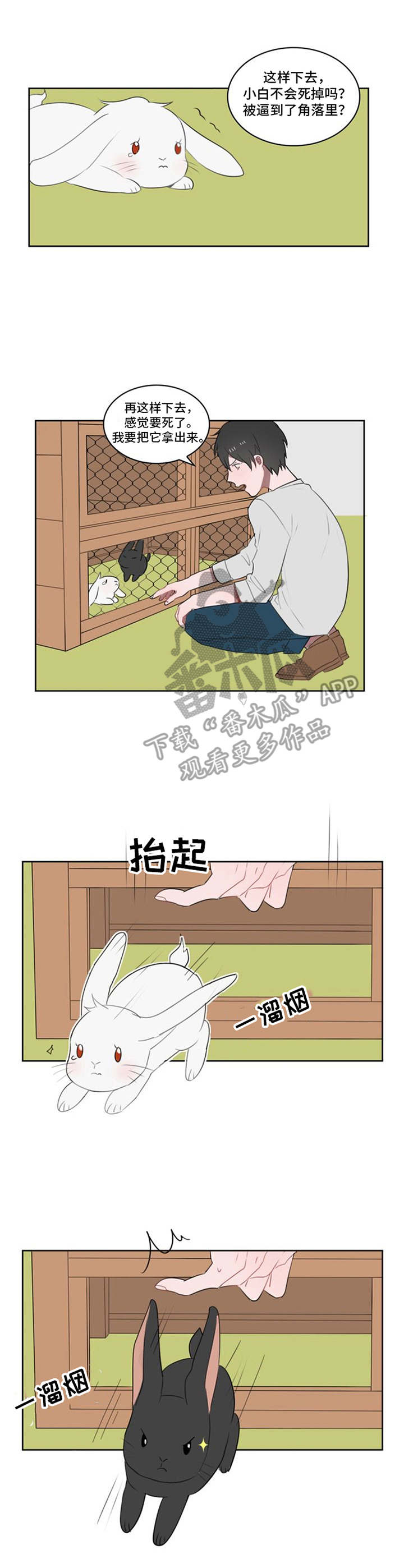 快递送来爱漫画,第18章：小黑小白（完结）1图