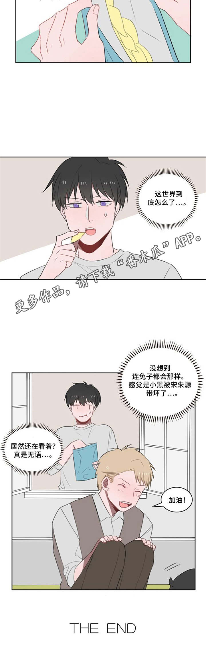 快递送来爱漫画,第18章：小黑小白（完结）1图