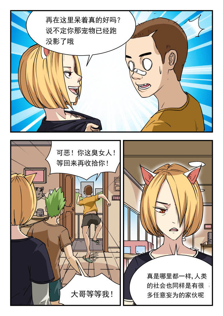 妖书录漫画在那看漫画,第95章：1图