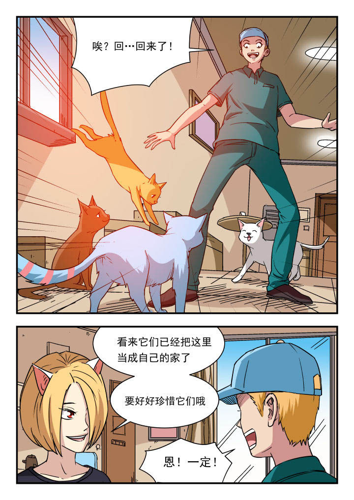 妖书大典小说漫画,第95章：1图