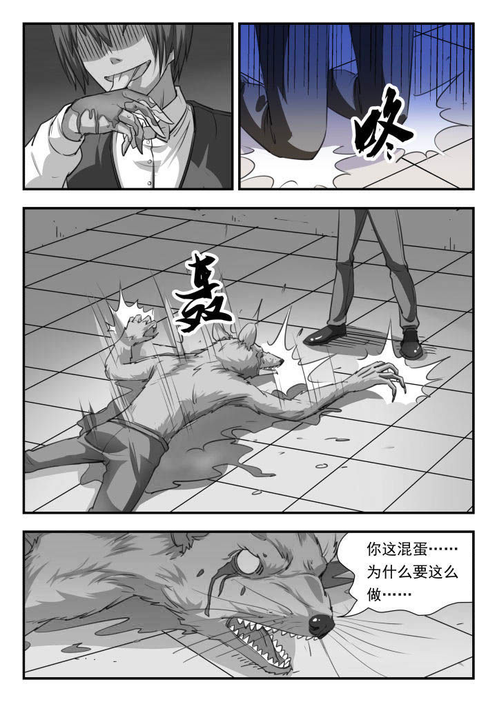 妖书录动画漫画,第40章：1图