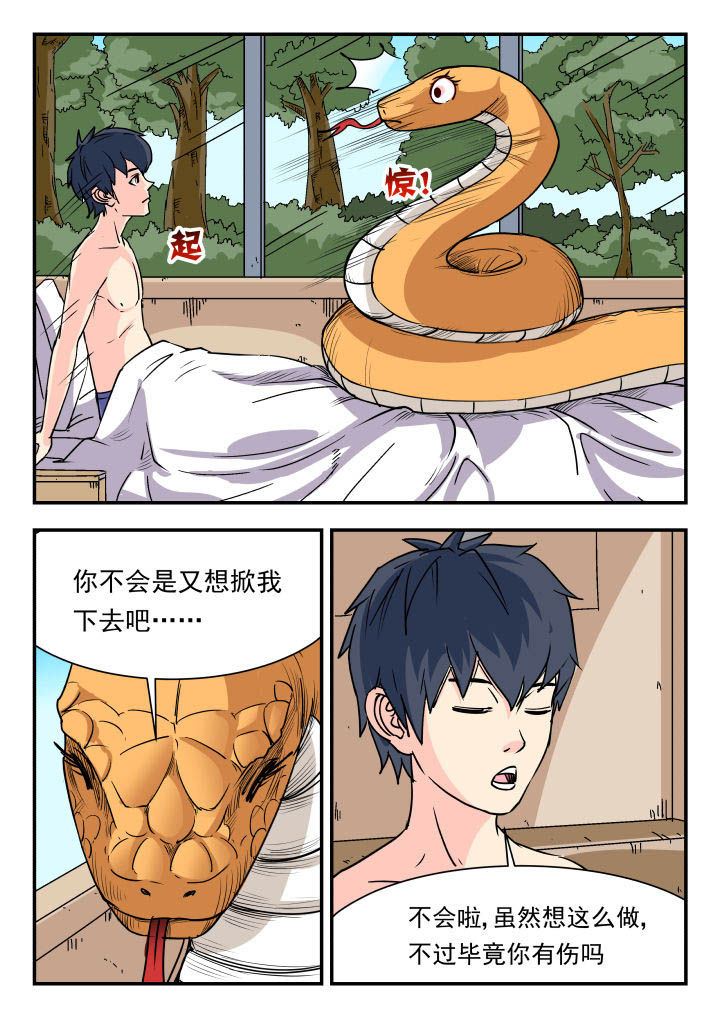 妖书录版权漫画,第84章：1图