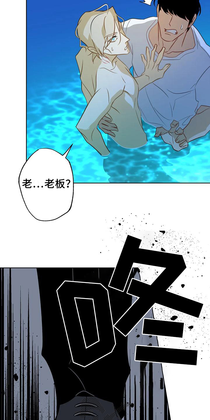 初恋情人刘小慧漫画,第6章：自荐2图