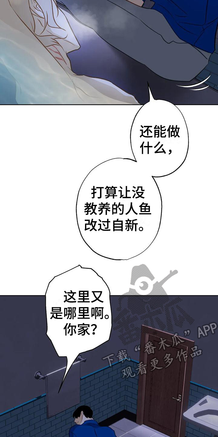 初恋人鱼动漫漫画,第20章：悄悄跟上1图