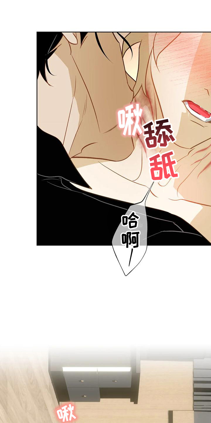 初恋人鱼动漫漫画,第25章：很幸福1图