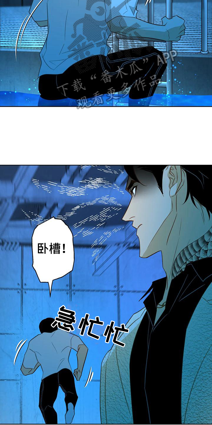 初恋人鱼小说漫画,第6章：自荐2图