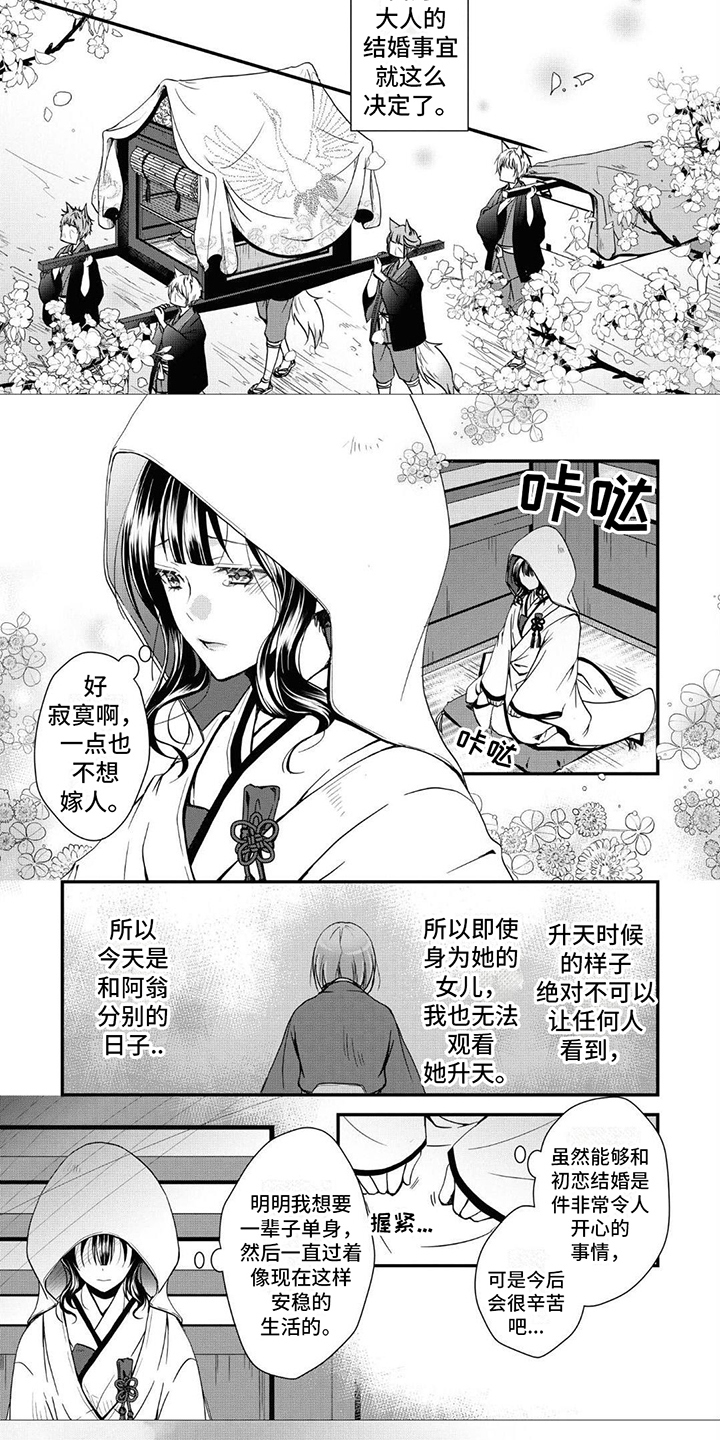 异类婚姻录漫画,第3章：嫁人1图