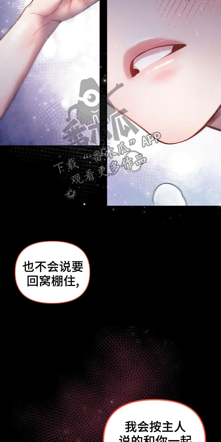 霸总训教又名漫画,第26章：该死的1图