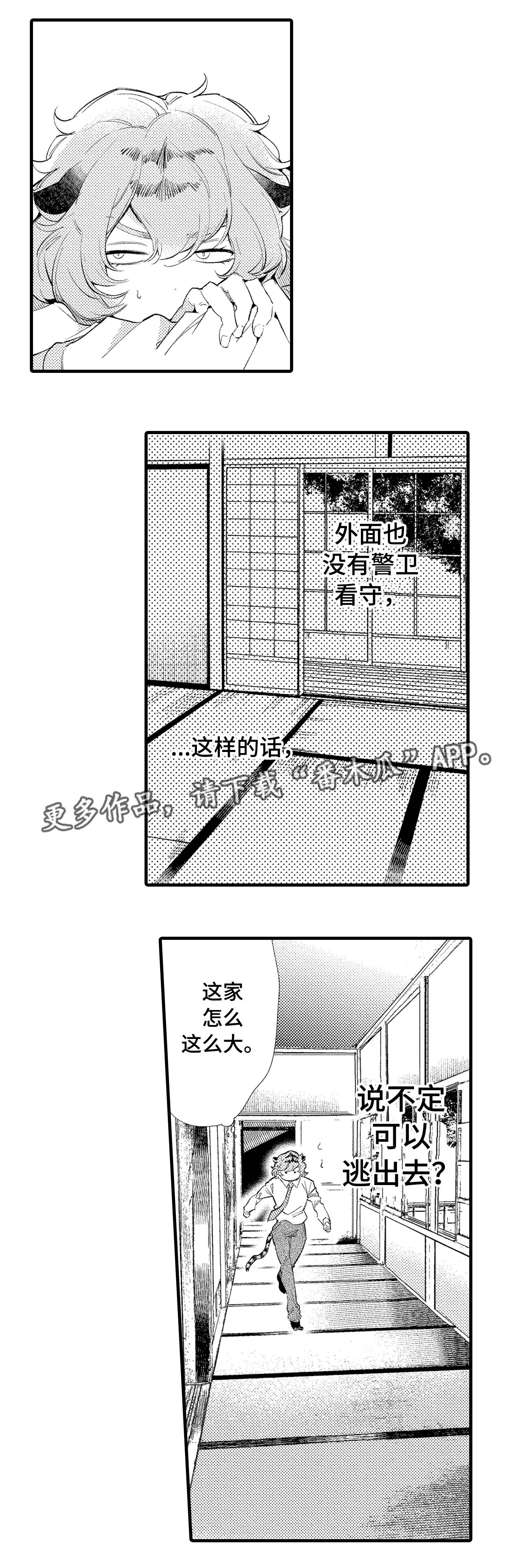 仙女豇豆红漫画,第15章：未婚妻2图