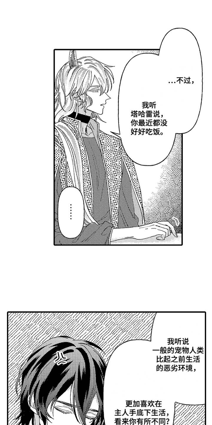 神兽宠物礼盒漫画,第6章：返乡1图