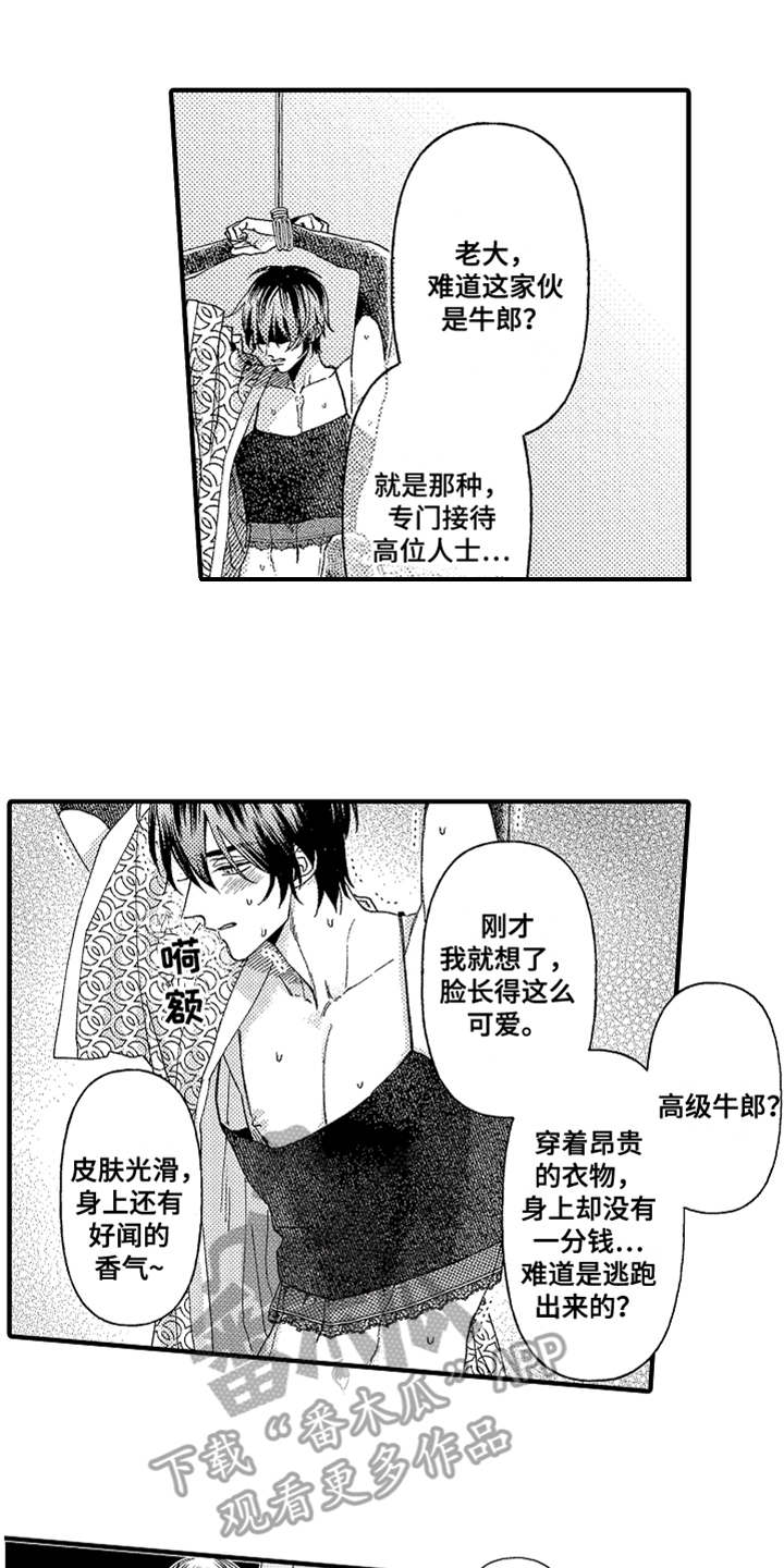 小说 神兽漫画,第19章：搜寻1图