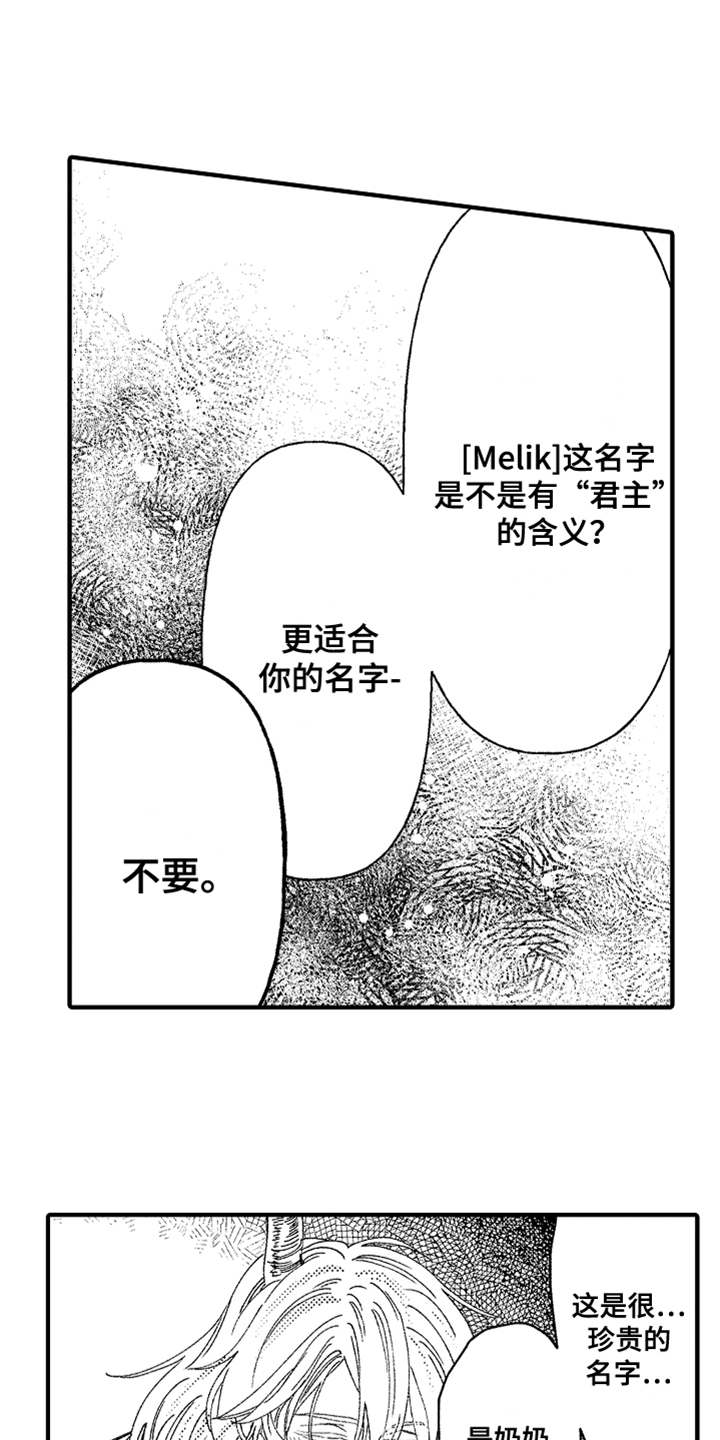 神兽宠物十大排名漫画,第3章：不听话1图