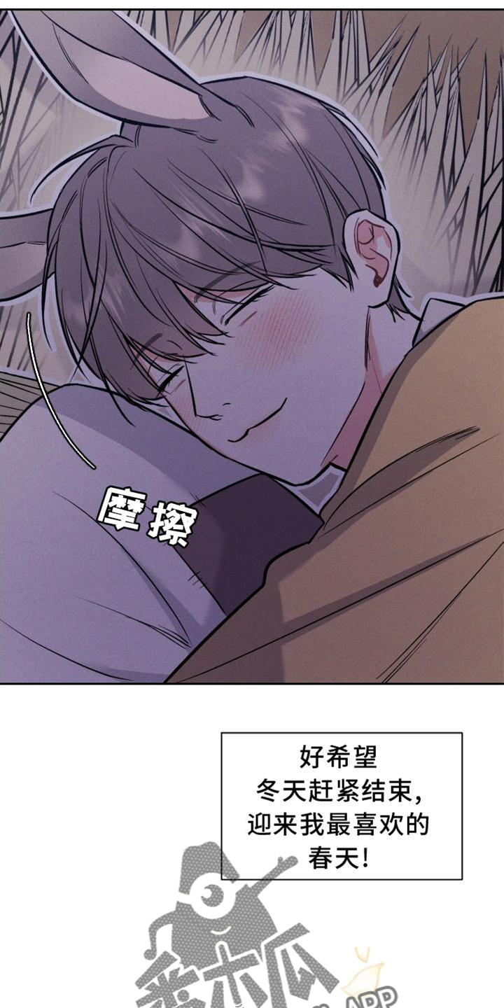 晚霞明阳漫画,第39章：兔子【特别篇】2图