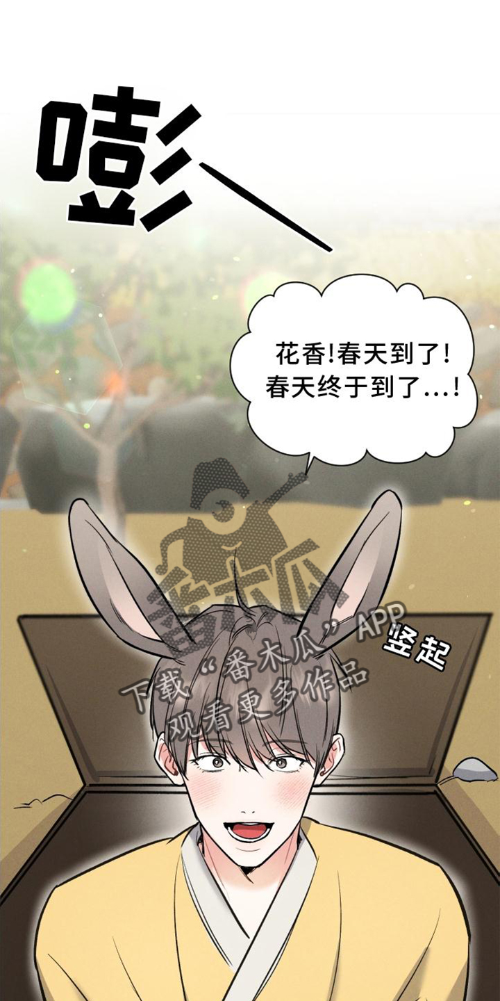 晚霞明阳漫画,第39章：兔子【特别篇】2图