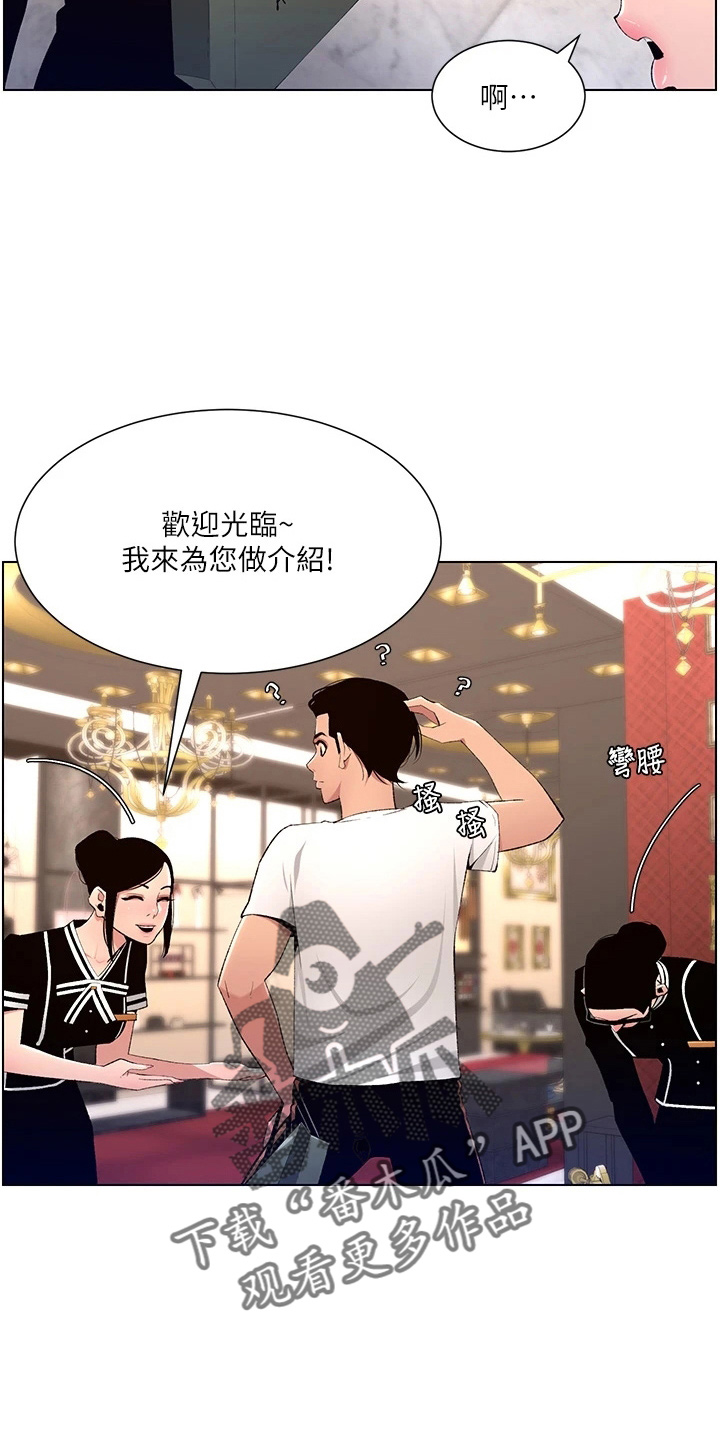 帝王软件漫画,第36章：都会买2图