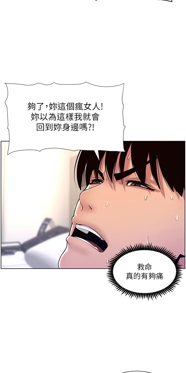 帝王软件开发有限公司漫画,第30章：欠修理1图