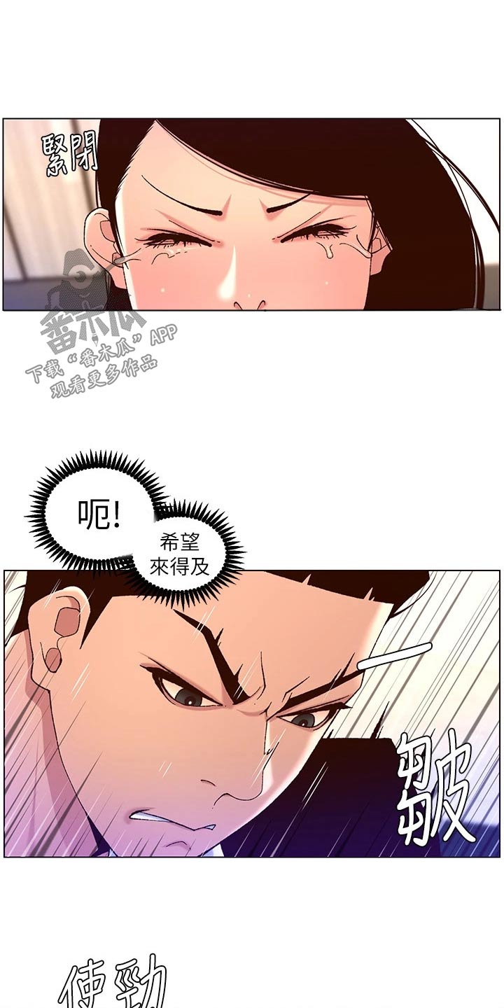 帝王宝盒视频软件漫画,第73章：调查1图