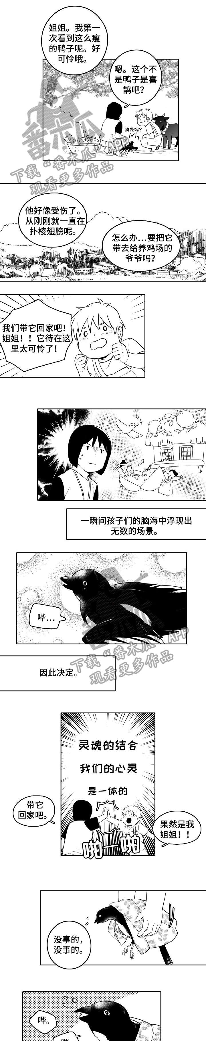 家族精神病遗传病史影响几代人漫画,第19章：受伤1图