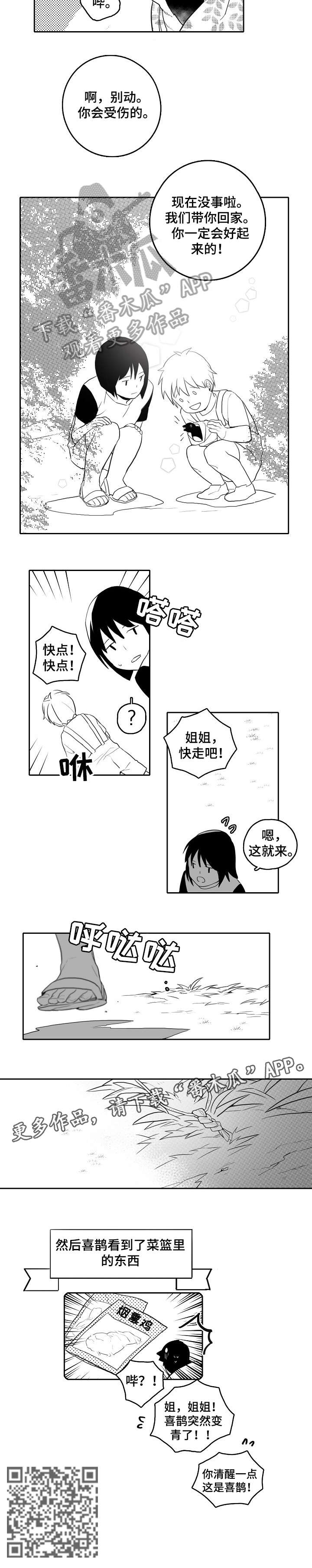 家族精神漫画,第19章：受伤2图