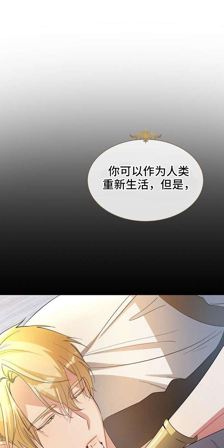 天使的祈祷漫画,第74章：回去吧1图