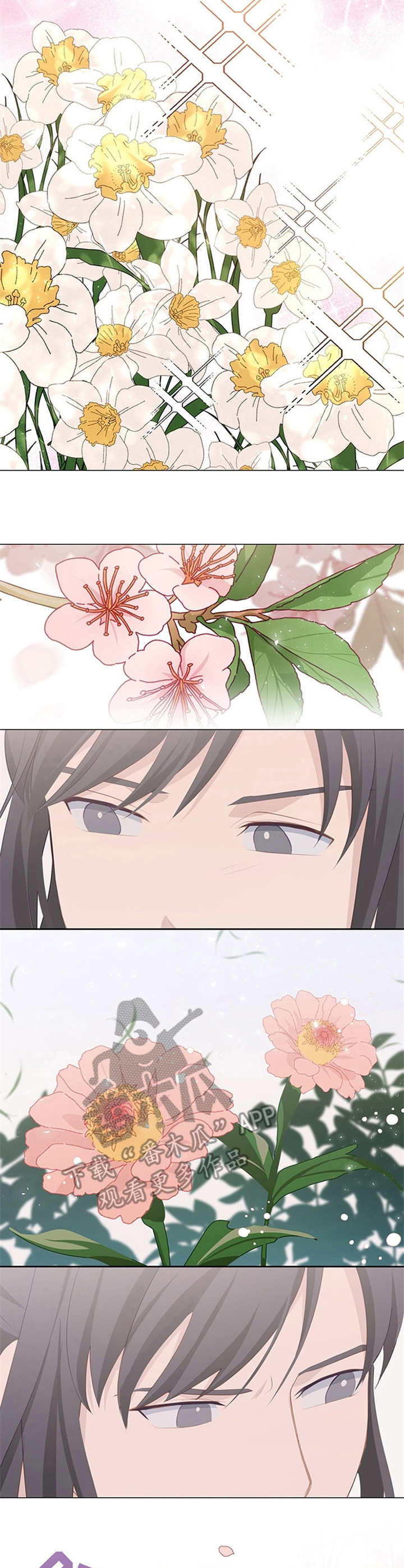 灵魂置换漫画,第16章：花繁叶茂1图