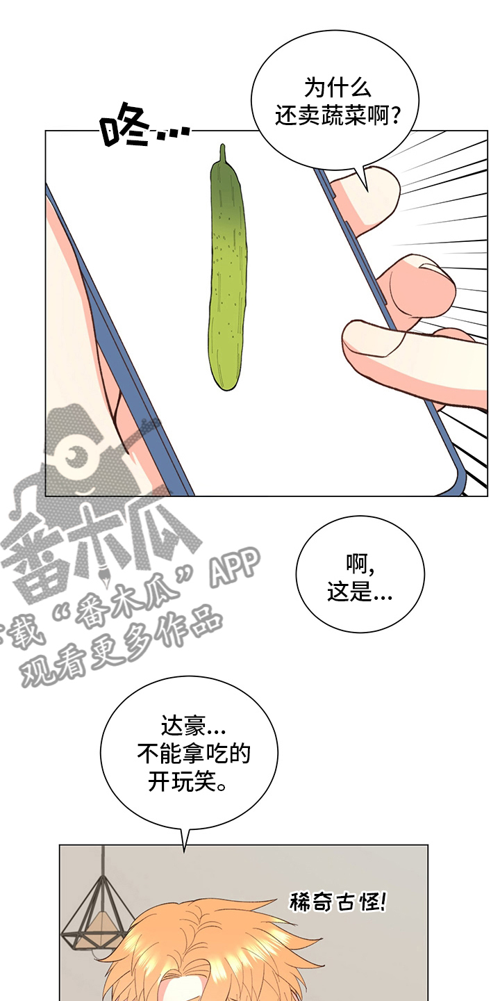 书中世界漫画,第38章：【番外】玩具2图