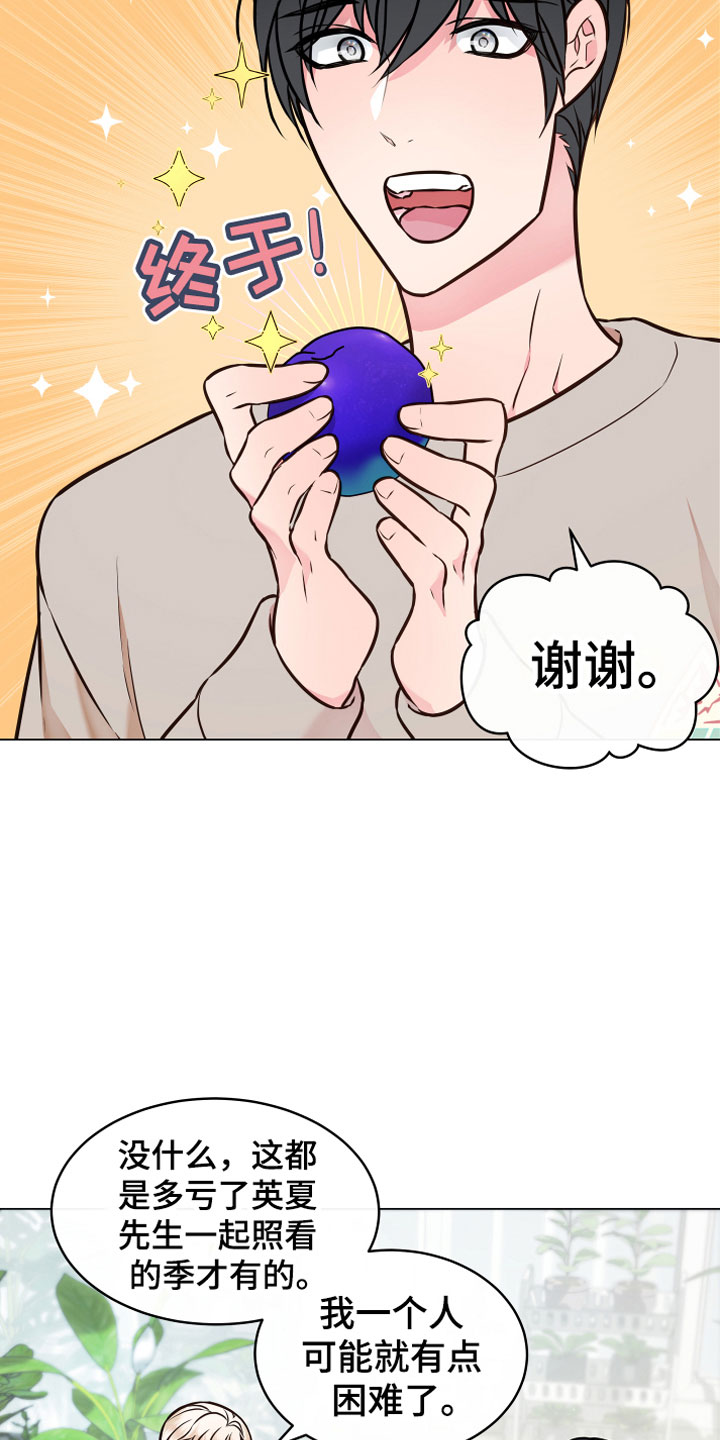植物与人漫画,第5章：果实1图
