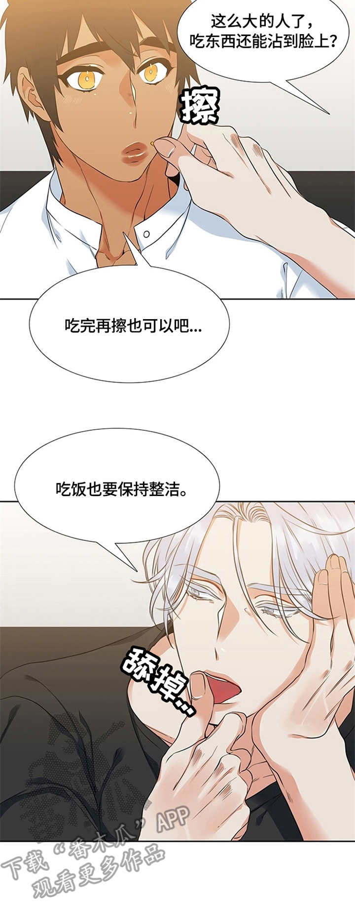 候鸟迁徙分析漫画,第12章：炸鸡2图