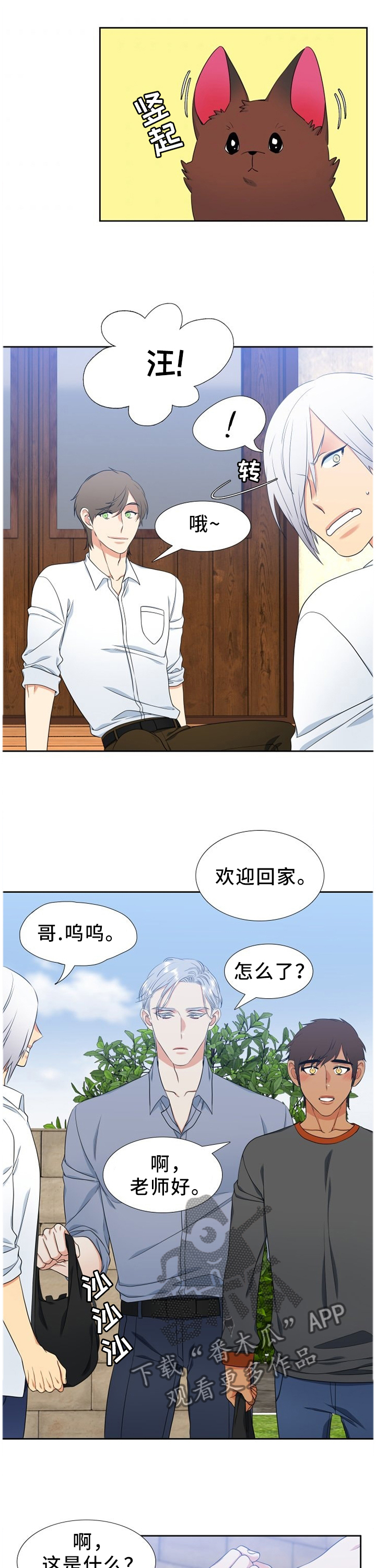 候鸟环球迁徙记漫画,第232章：【第二季】我的幸福需要你1图