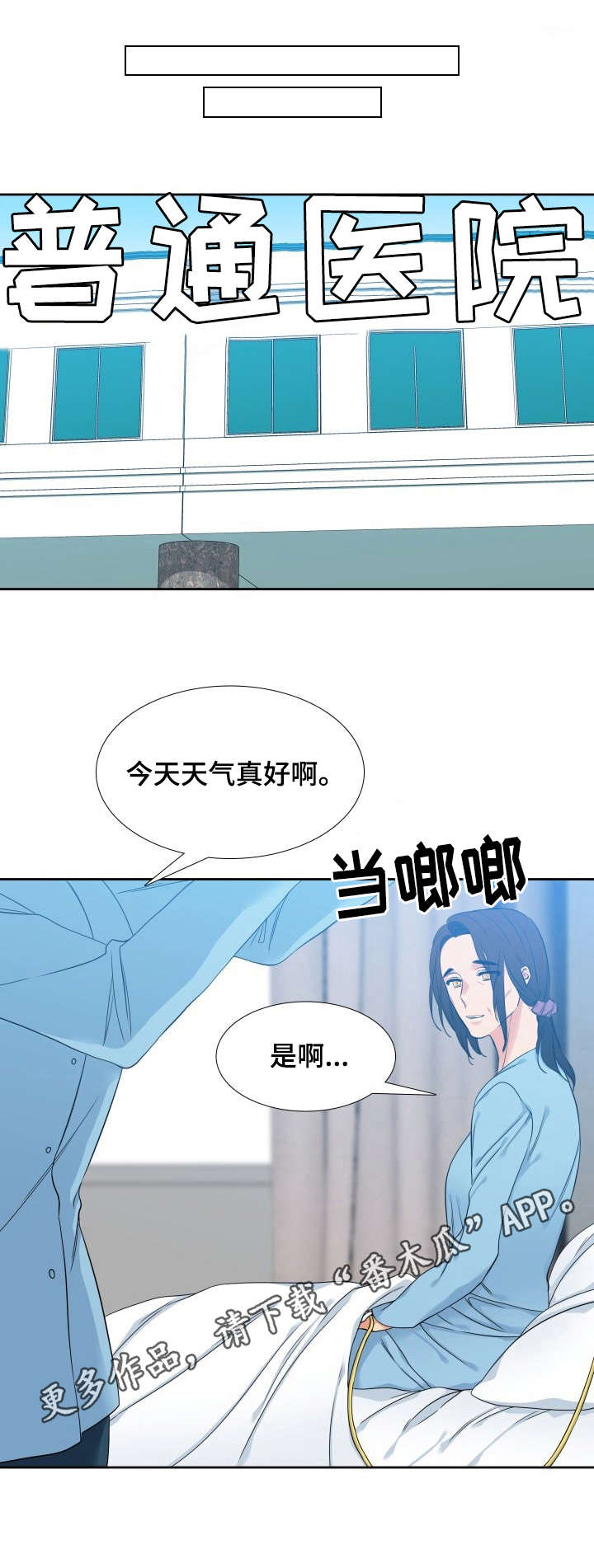 候鸟生态漫画,第51章：正装1图