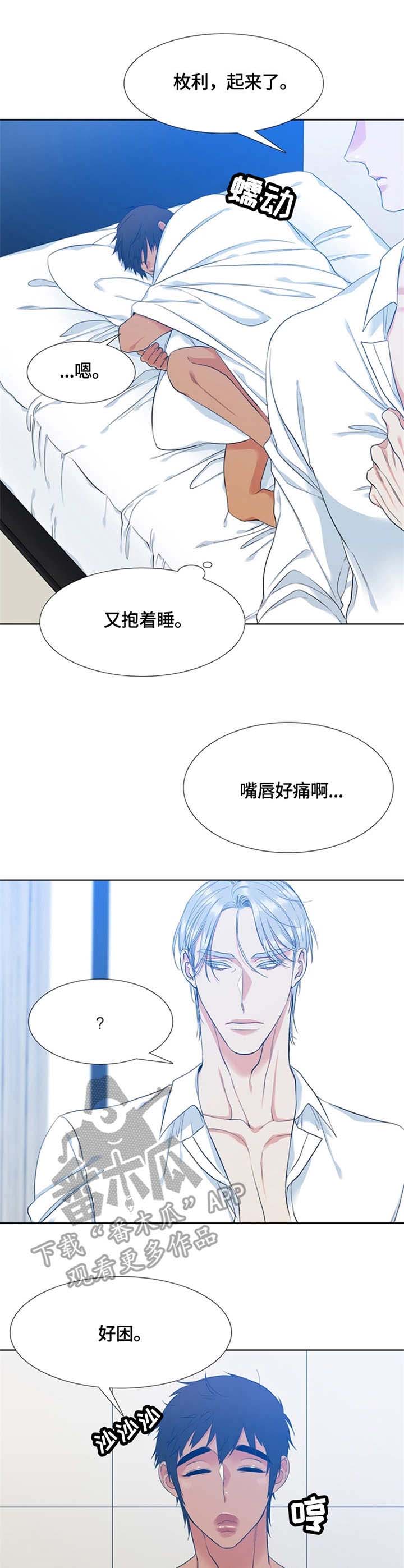 候鸟放飞 新闻漫画,第18章：肿了2图