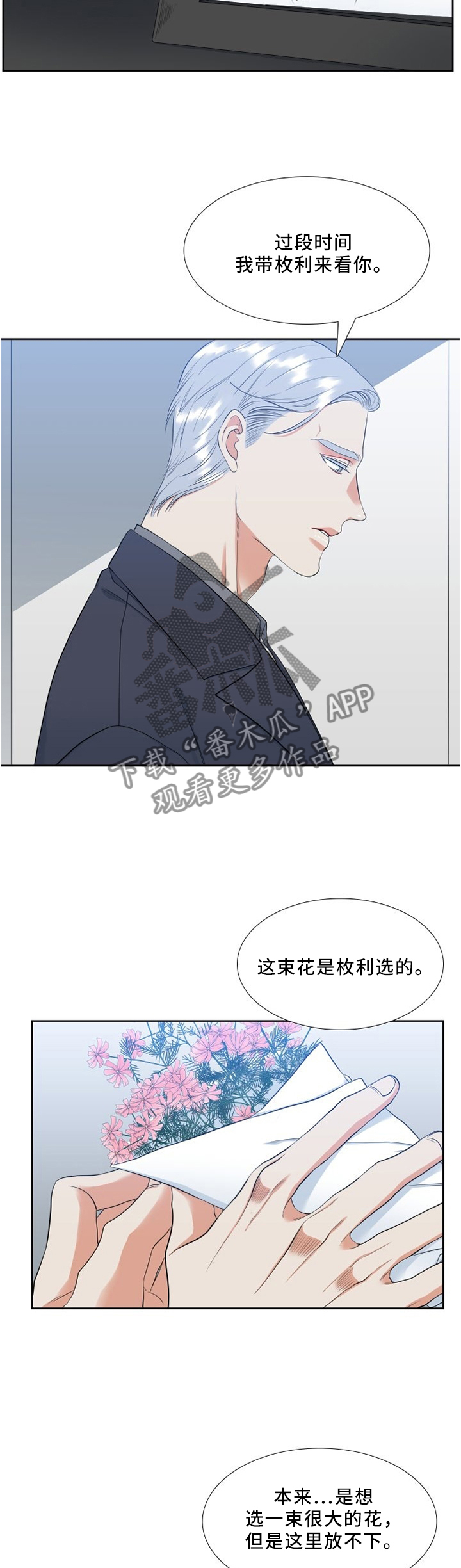 候鸟漫画,第119章：行动2图