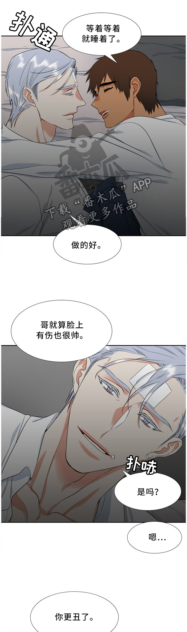 候鸟生态漫画,第167章：安宁2图