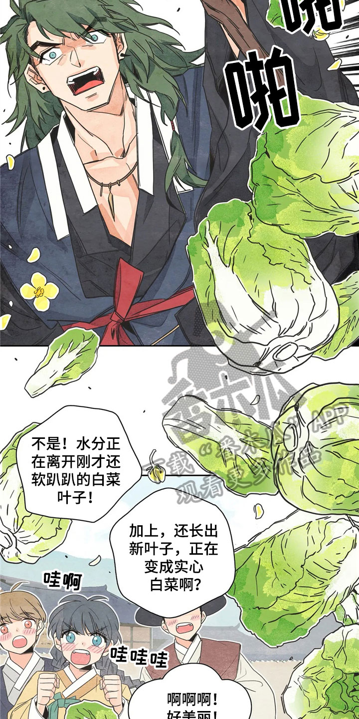 对于灵感的理解漫画,第35章：萝卜与白菜：泡菜神1图