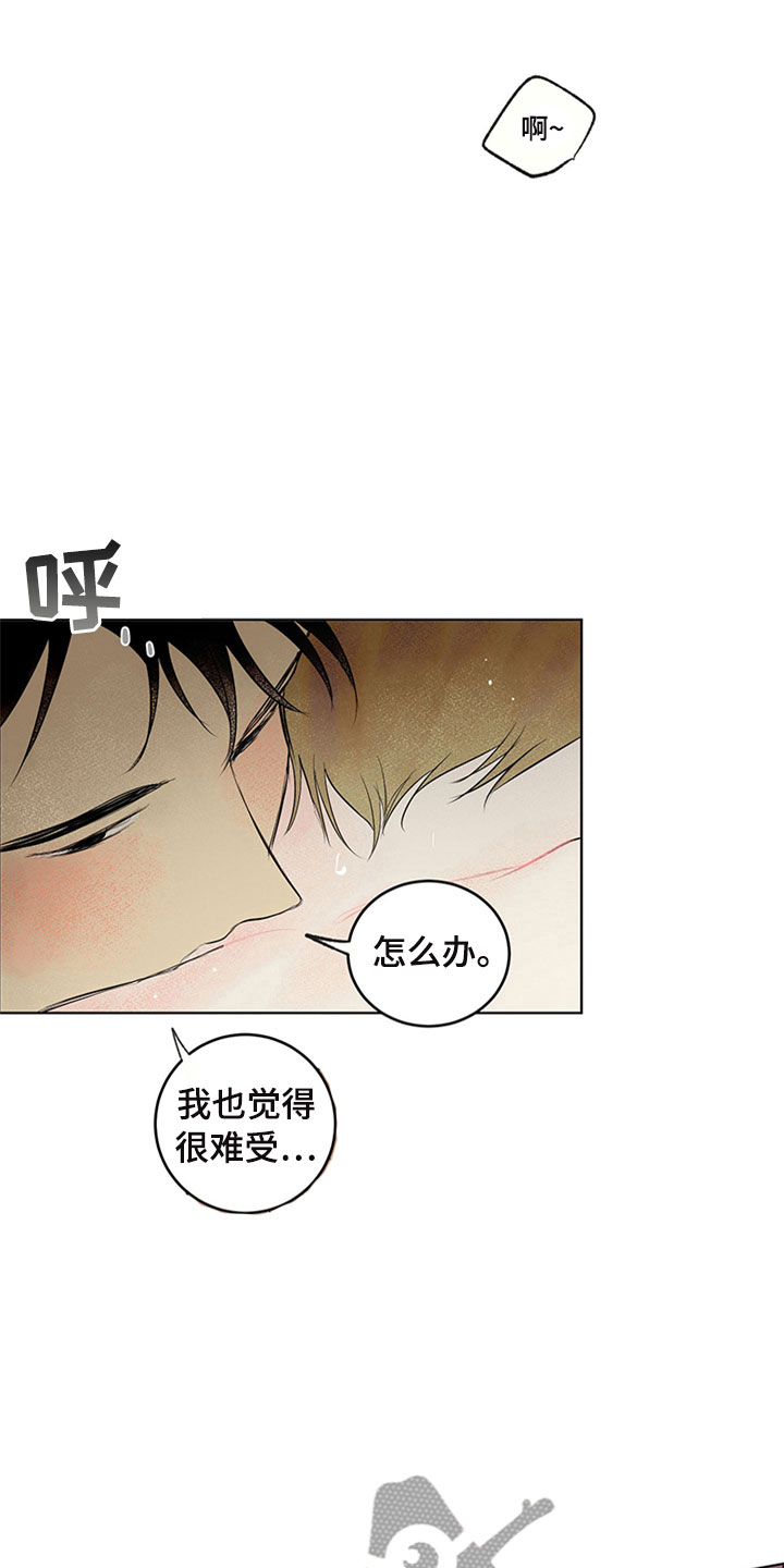 灵感与直觉的区别和联系漫画,第34章：新古董伙伴：一直继续1图