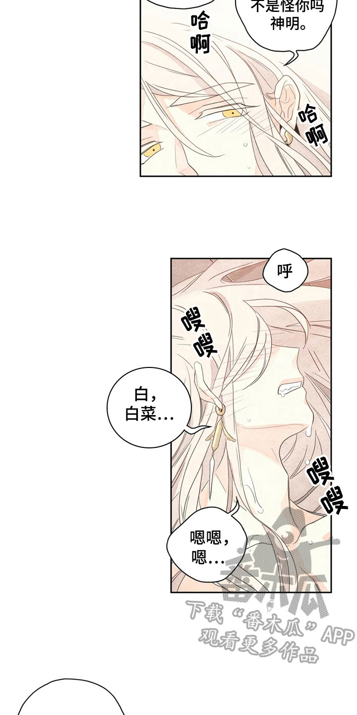 灵感观世音菩萨漫画,第38章：萝卜与白菜：丰收1图