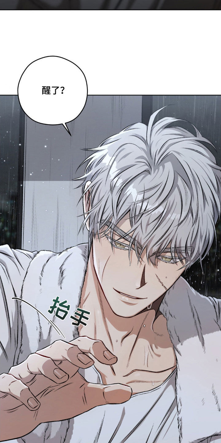 区域间谍漫画,第103章：【第二季】发烧2图