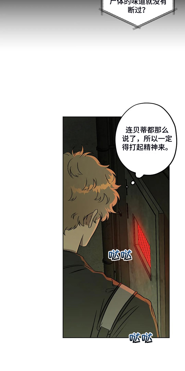 区域间谍漫画,第81章：【第二季】地下民1图