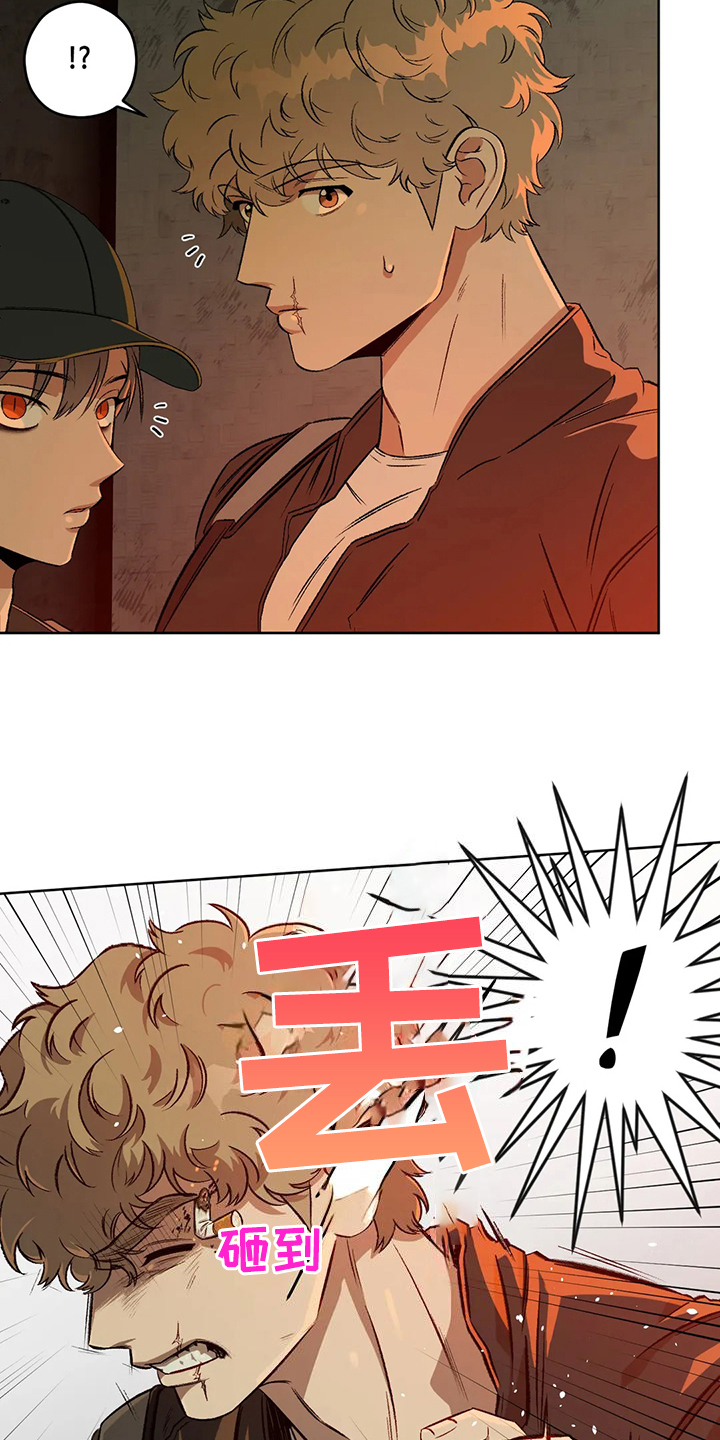 区域间谍漫画,第82章：【第二季】不管你们的身份1图