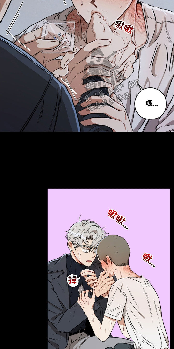 区域间谍漫画,第103章：【第二季】发烧2图