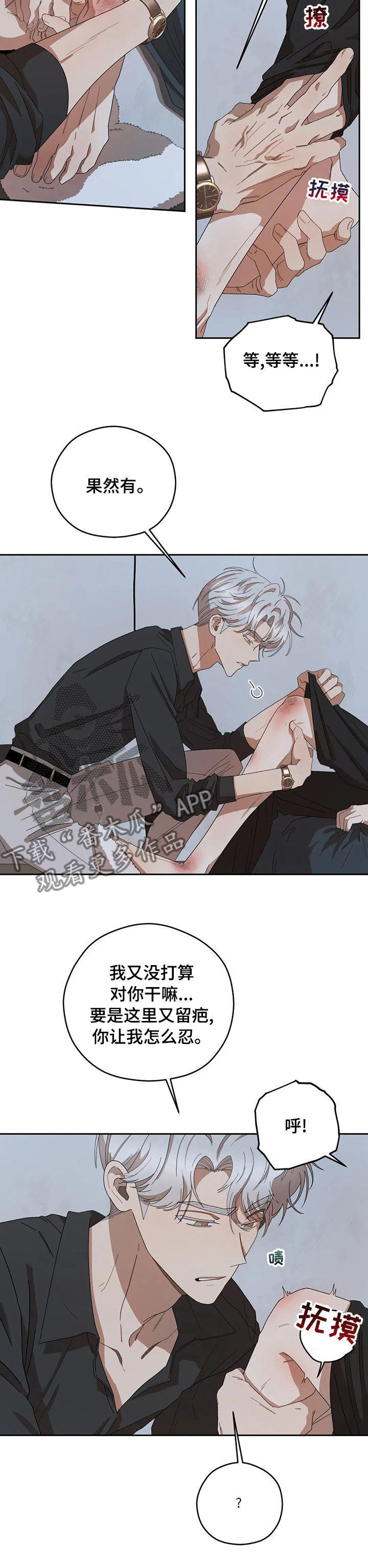 区域间谍漫画,第56章：一直撩我2图