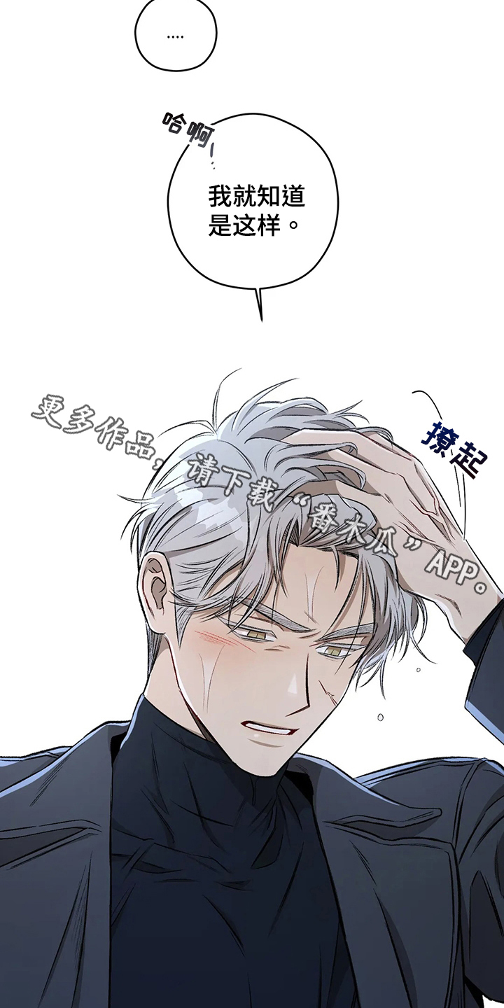 区域间谍漫画,第102章：【第二季】疑惑1图