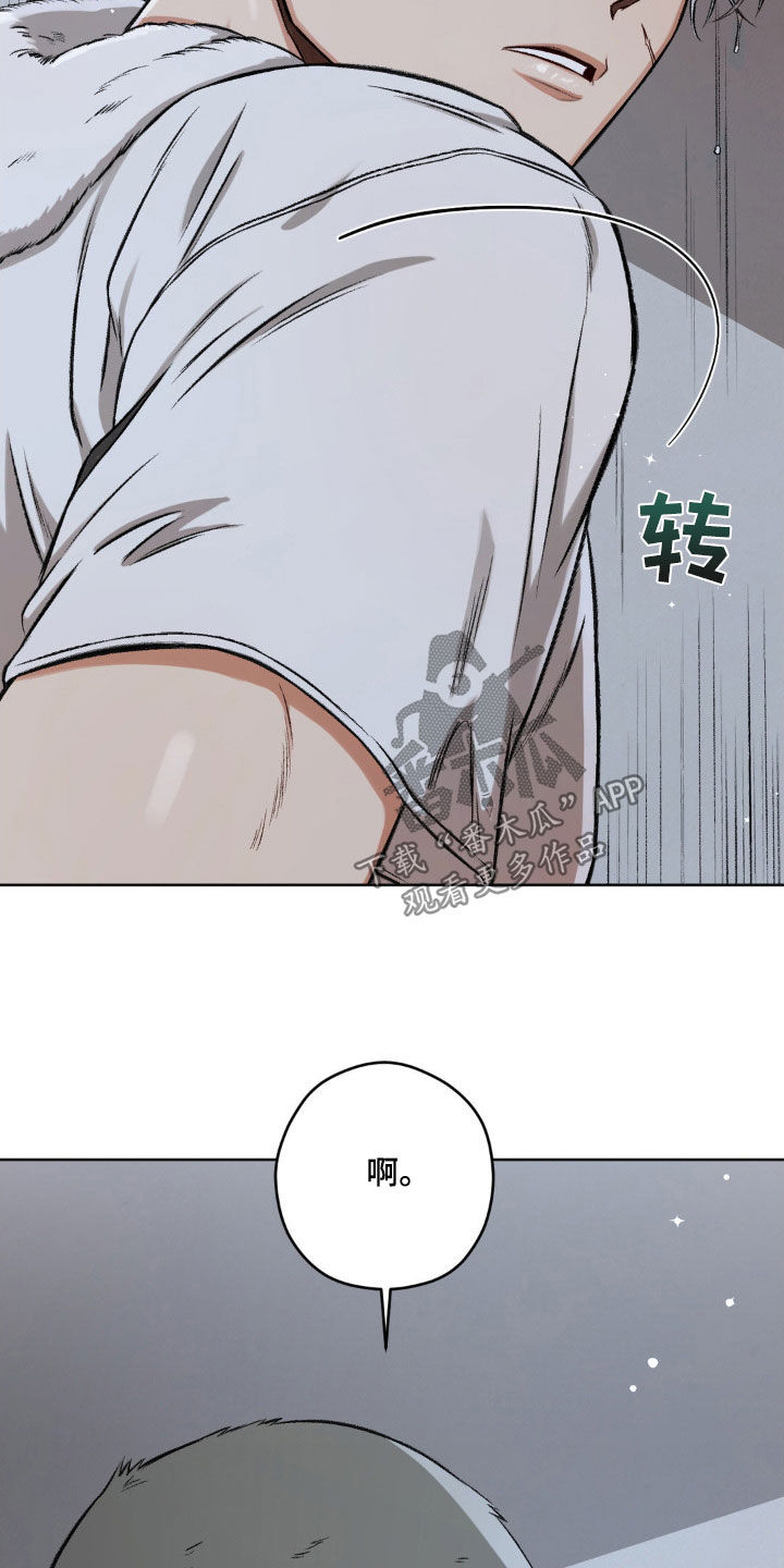 区域间谍漫画,第103章：【第二季】发烧2图