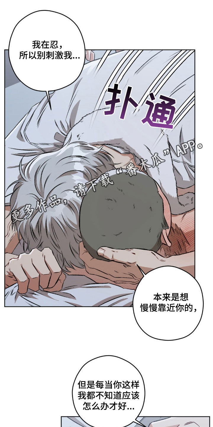 区域间谍漫画,第104章：【第二季】更喜欢了1图