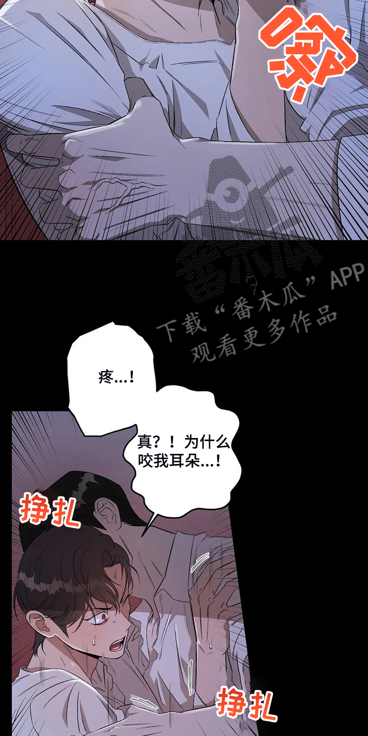 区域间谍漫画,第76章：【第二季】噩梦2图
